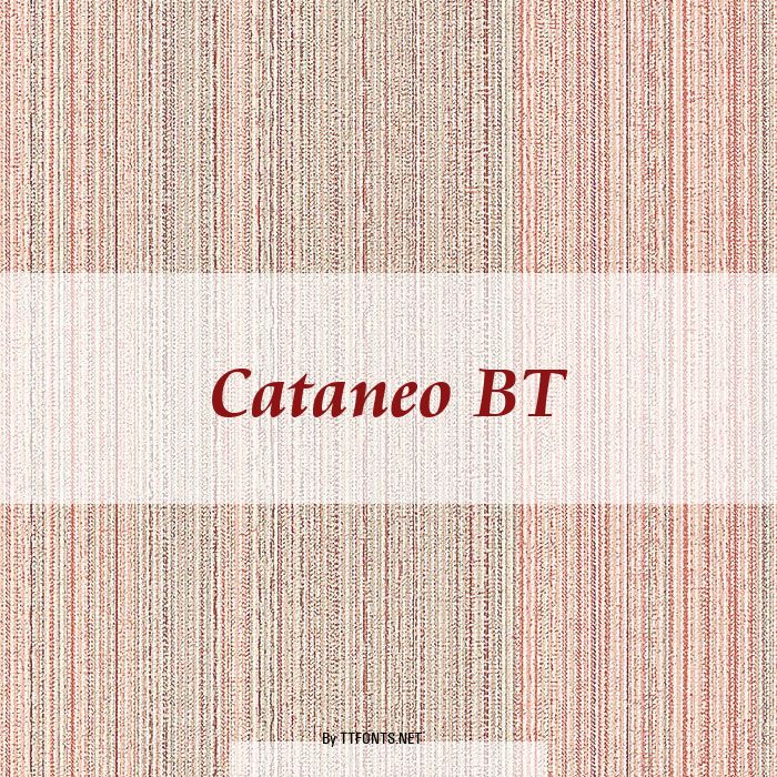 Cataneo BT example